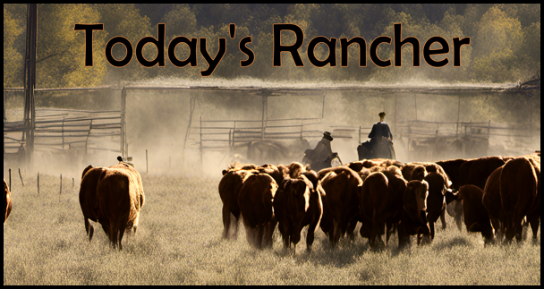 Today's Rancher