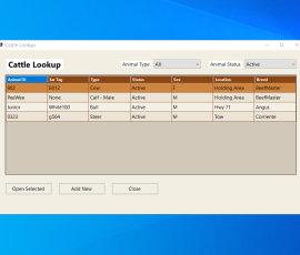 Animal Lookup Form